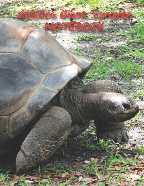 Aldabra Giant Tortoise NOTEBOOK: Reptile Notebooks and Journals 110 pages (8.5x11) (Paperback)