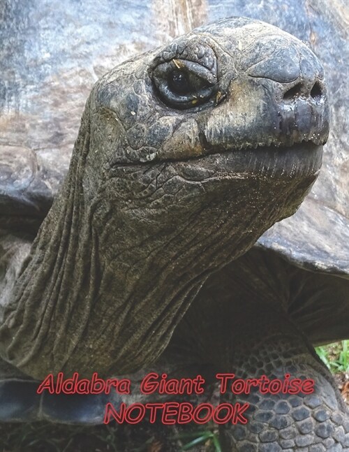 Aldabra Giant Tortoise NOTEBOOK: Reptile Notebooks and Journals 110 pages (8.5x11) (Paperback)