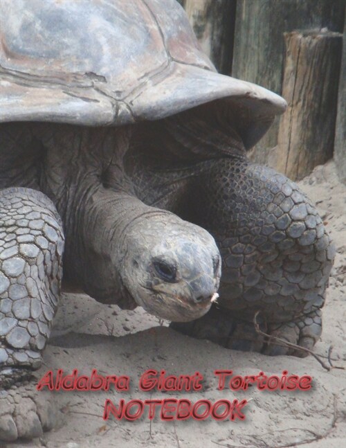 Aldabra Giant Tortoise NOTEBOOK: Reptile Notebooks and Journals 110 pages (8.5x11) (Paperback)