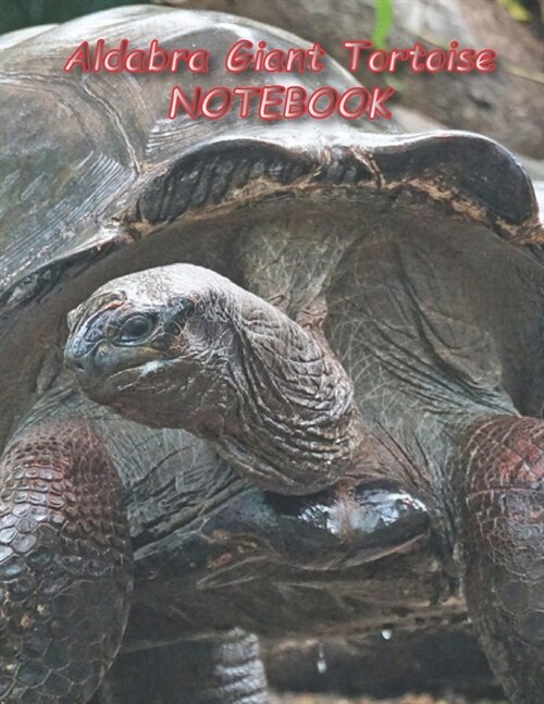 Aldabra Giant Tortoise NOTEBOOK: Reptile Notebooks and Journals 110 pages (8.5x11) (Paperback)