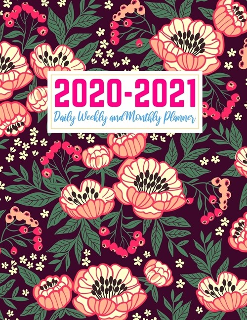 2020-2021 Daily Weekly and Monthly Planner: Simple Two Year Jan 1, 2020 - Dec 31, 2021 Calendar Organizer and Appointment Schedule Agenda Journal for (Paperback)