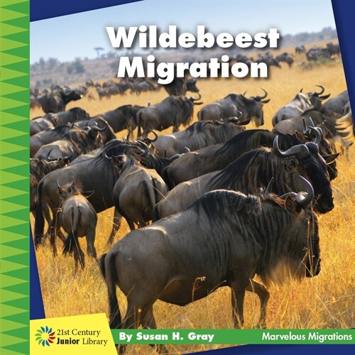 Wildebeest Migration (Paperback)