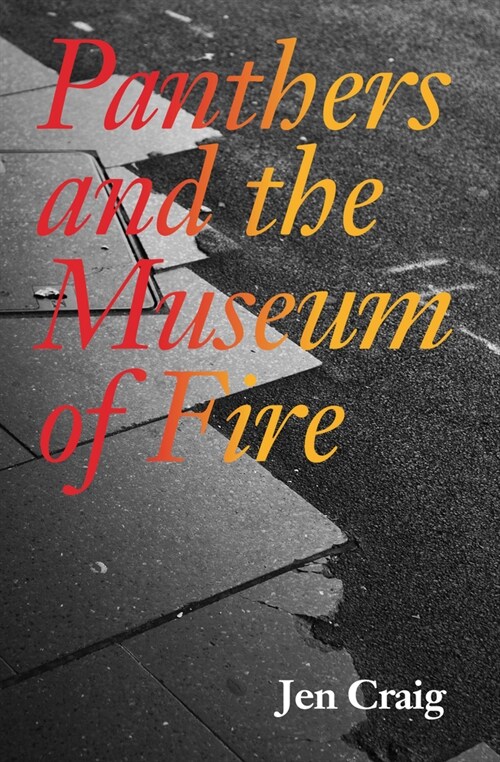 Panthers and the Museum of Fire (Paperback)