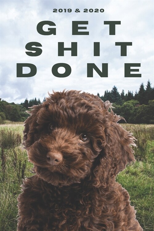 2020 & 2021 Two-Year Daily Planner To Get Shit Done - Funny Dog Appointment Book - Two Year Weekly Agenda Notebook - Best Gift For Labradoodle Owner: (Paperback)
