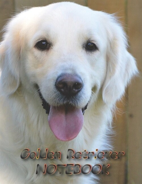 Golden Retriever NOTEBOOK: Dog Notebooks and Journals 110 pages (8.5x11) (Paperback)