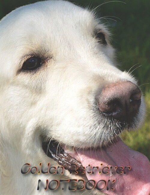 Golden Retriever NOTEBOOK: Dog Notebooks and Journals 110 pages (8.5x11) (Paperback)