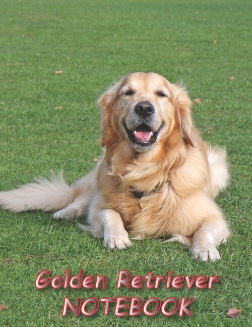 Golden Retriever NOTEBOOK: Dog Notebooks and Journals 110 pages (8.5x11) (Paperback)