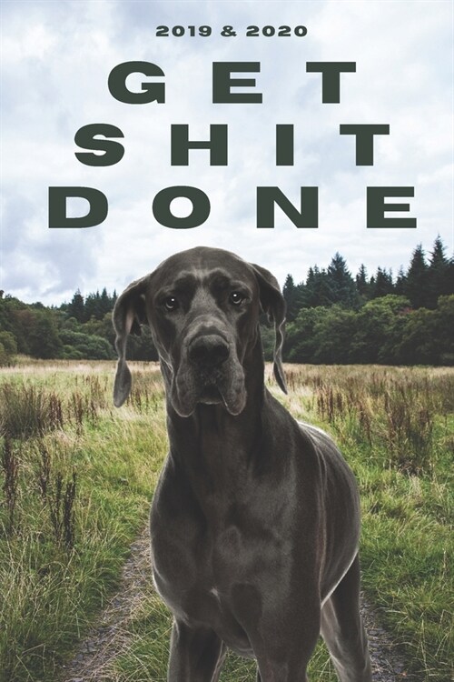 2020 & 2021 Two-Year Daily Planner To Get Shit Done - Funny Dog Appointment Book - Two Year Weekly Agenda Notebook - Best Gift For Great Dane Owner: G (Paperback)