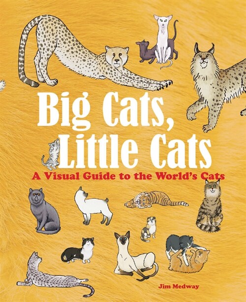 Big Cats, Little Cats: A Visual Guide to the Worlds Cats (Paperback)