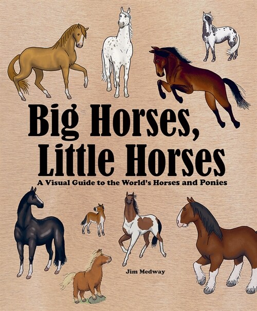 Big Horses, Little Horses: A Visual Guide to the Worlds Horses and Ponies (Paperback)