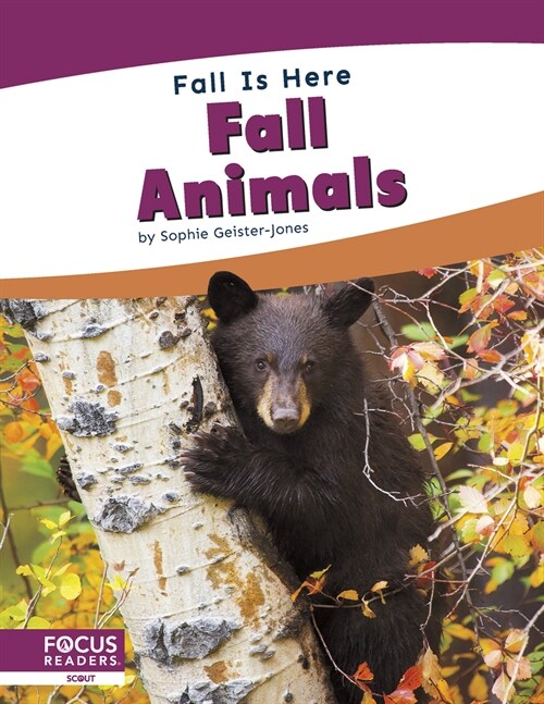Fall Animals (Library Binding)