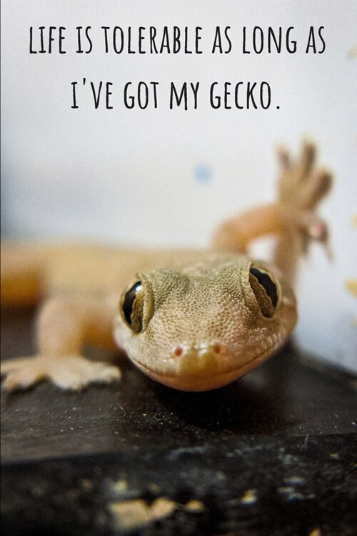 Life Is Tolerable As Long As Ive Got My Gecko - Lined Journal and Notebook: Funny Gecko Notebook for Students, Writers and Notetakers (Paperback)