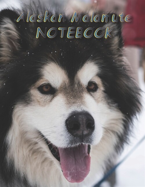 Alaskan Malamute NOTEBOOK: Dog Notebooks and Journals 110 pages (8.5x11) (Paperback)