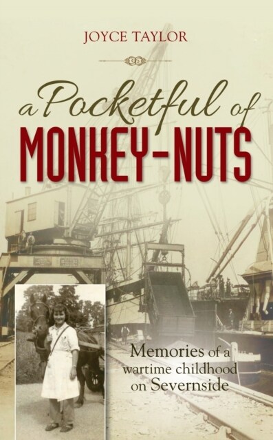 A Pocketful of Monkey-Nuts : Memories of a wartime childhood on Severnside (Paperback)