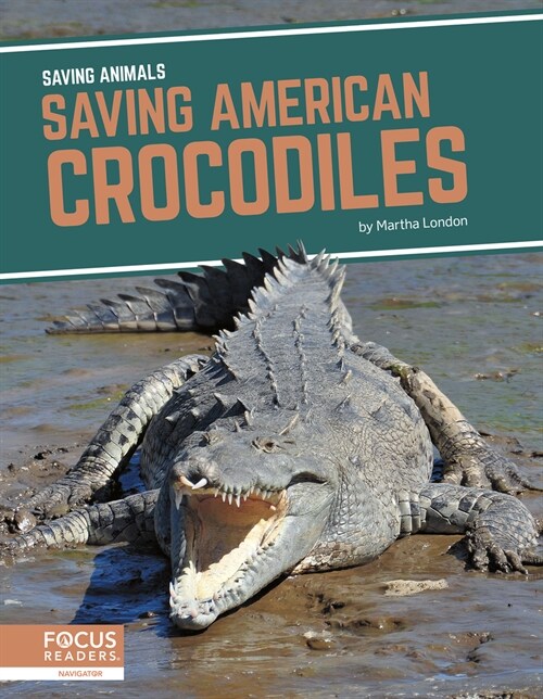 Saving American Crocodiles (Library Binding)