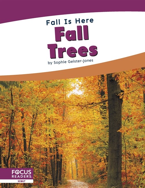 Fall Trees (Paperback)