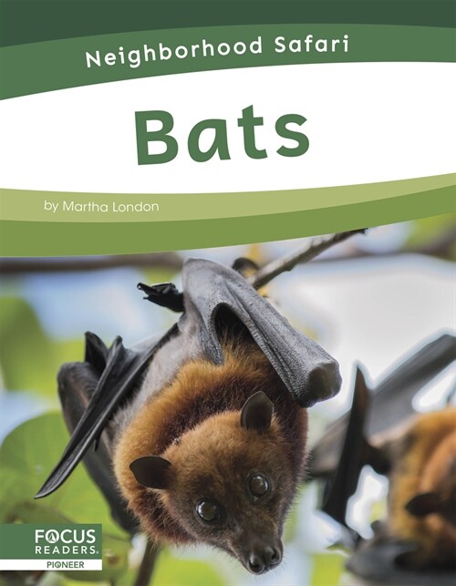 Bats (Paperback)