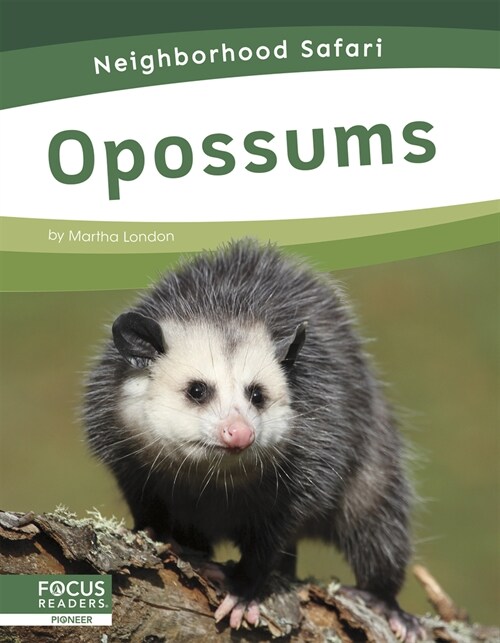 Opossums (Paperback)