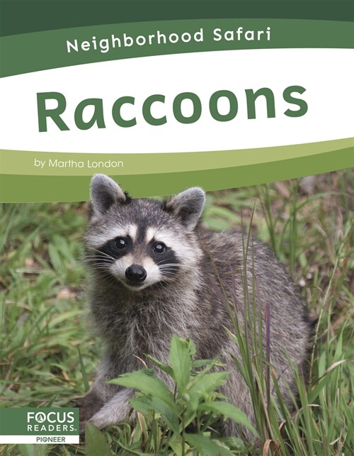 Raccoons (Paperback)