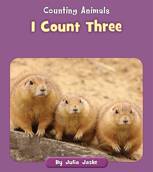 I Count Three (Paperback)