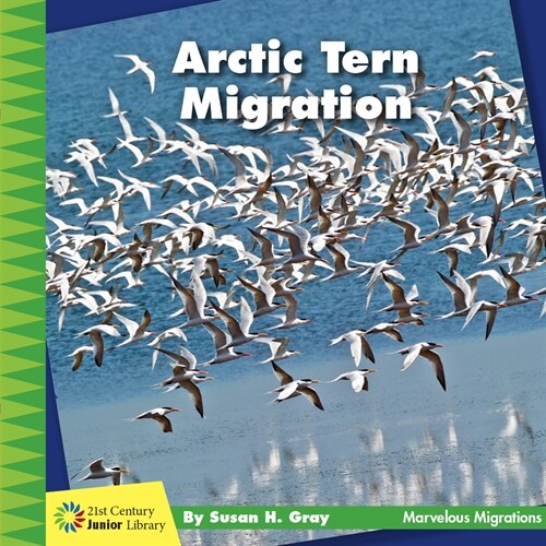 Arctic Tern Migration (Library Binding)