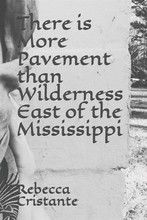 There is More Pavement than Wilderness East of the Mississippi (Paperback)