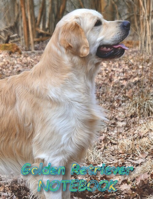 Golden Retriever NOTEBOOK: Dog Notebooks and Journals 110 pages (8.5x11) (Paperback)