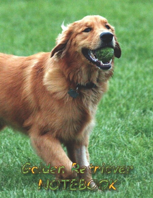 Golden Retriever NOTEBOOK: Dog Notebooks and Journals 110 pages (8.5x11) (Paperback)