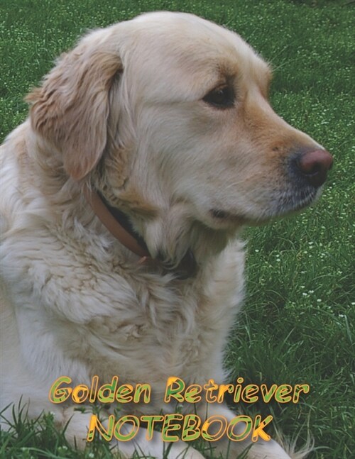 Golden Retriever NOTEBOOK: Dog Notebooks and Journals 110 pages (8.5x11) (Paperback)