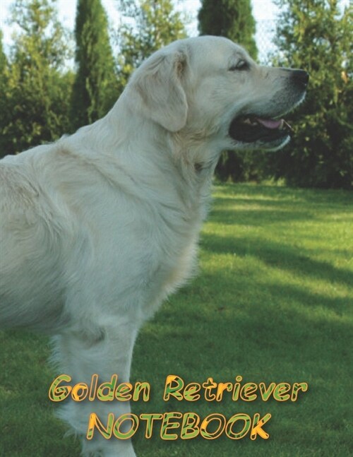 Golden Retriever NOTEBOOK: Dog Notebooks and Journals 110 pages (8.5x11) (Paperback)