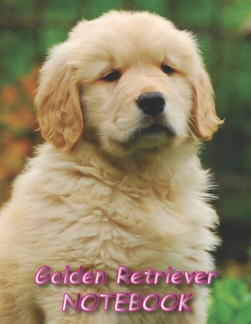 Golden Retriever NOTEBOOK: Dog Notebooks and Journals 110 pages (8.5x11) (Paperback)