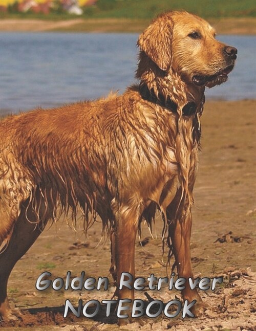 Golden Retriever NOTEBOOK: Dog Notebooks and Journals 110 pages (8.5x11) (Paperback)