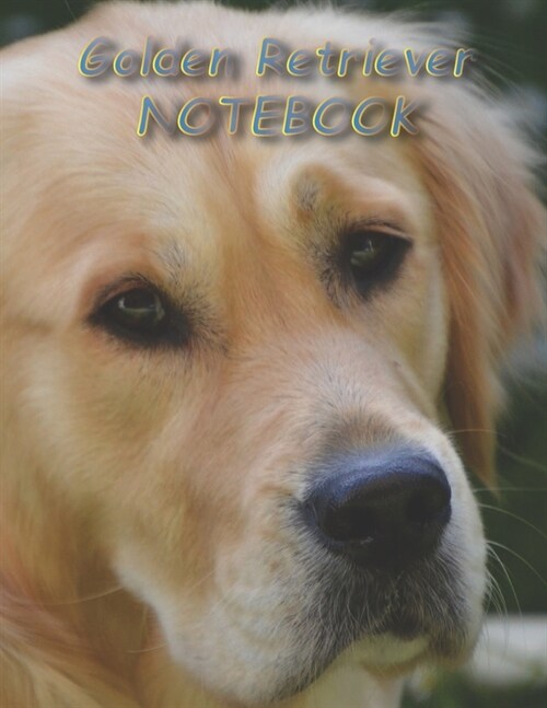 Golden Retriever NOTEBOOK: Dog Notebooks and Journals 110 pages (8.5x11) (Paperback)