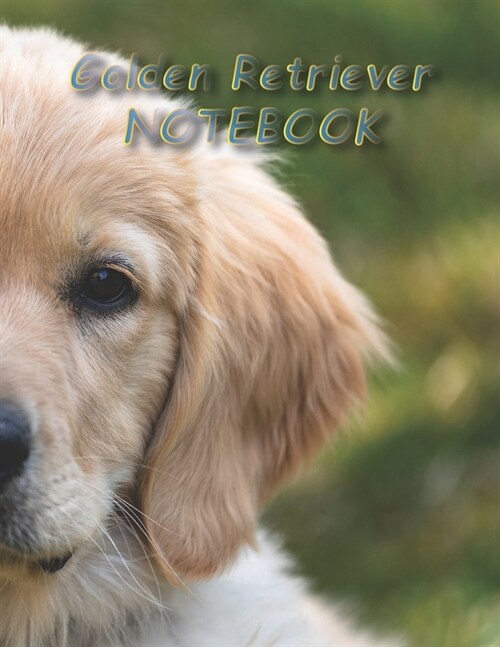 Golden Retriever NOTEBOOK: Dog Notebooks and Journals 110 pages (8.5x11) (Paperback)