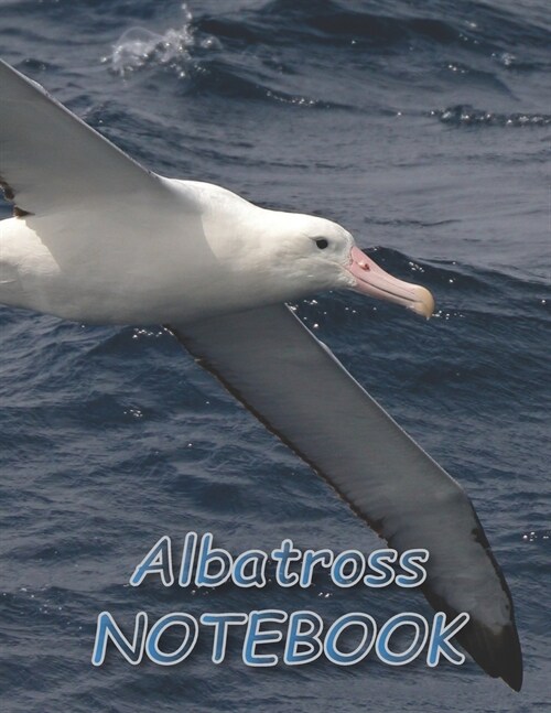 Albatross NOTEBOOK: Bird Notebooks and Journals 110 pages (8.5x11) (Paperback)