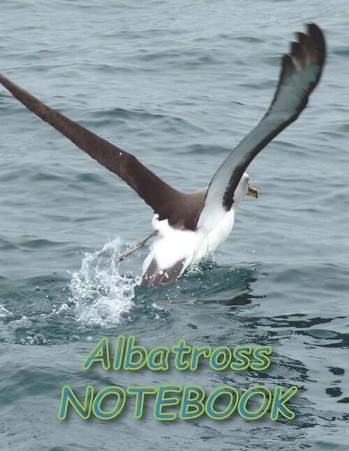 Albatross NOTEBOOK: Bird Notebooks and Journals 110 pages (8.5x11) (Paperback)