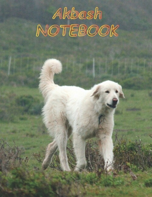 Akbash NOTEBOOK: Dog Notebooks and Journals 110 pages (8.5x11) (Paperback)