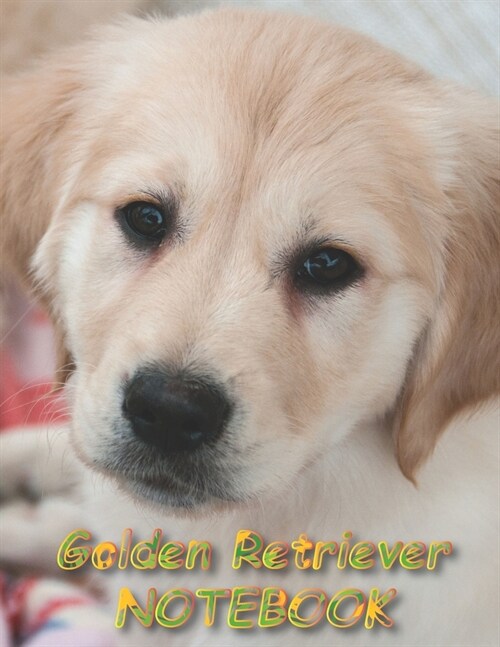 Golden Retriever NOTEBOOK: Dog Notebooks and Journals 110 pages (8.5x11) (Paperback)