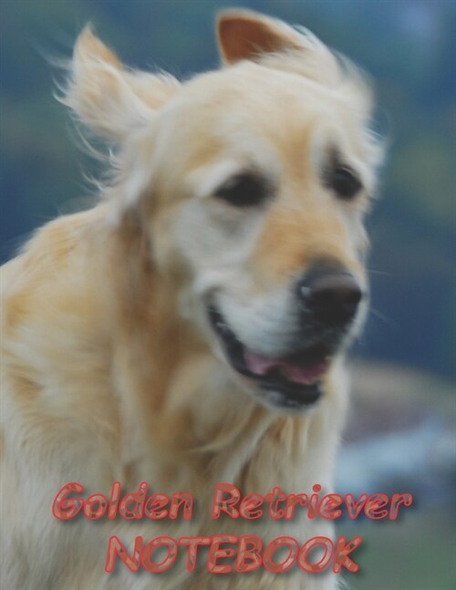 Golden Retriever NOTEBOOK: Dog Notebooks and Journals 110 pages (8.5x11) (Paperback)