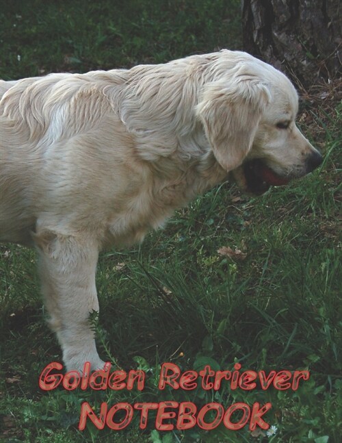 Golden Retriever NOTEBOOK: Dog Notebooks and Journals 110 pages (8.5x11) (Paperback)