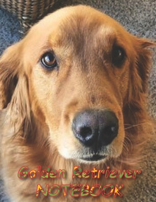 Golden Retriever NOTEBOOK: Dog Notebooks and Journals 110 pages (8.5x11) (Paperback)