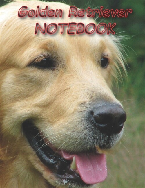 Golden Retriever NOTEBOOK: Dog Notebooks and Journals 110 pages (8.5x11) (Paperback)