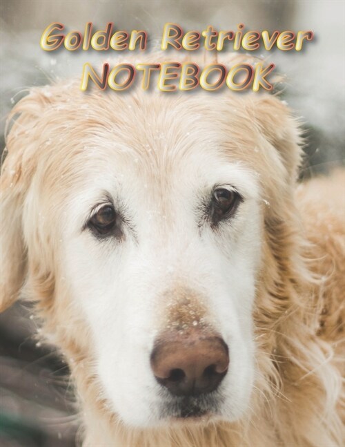 Golden Retriever NOTEBOOK: Dog Notebooks and Journals 110 pages (8.5x11) (Paperback)