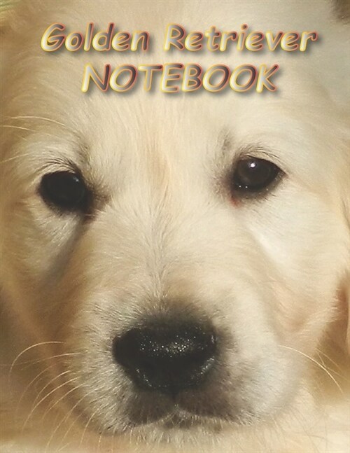 Golden Retriever NOTEBOOK: Dog Notebooks and Journals 110 pages (8.5x11) (Paperback)