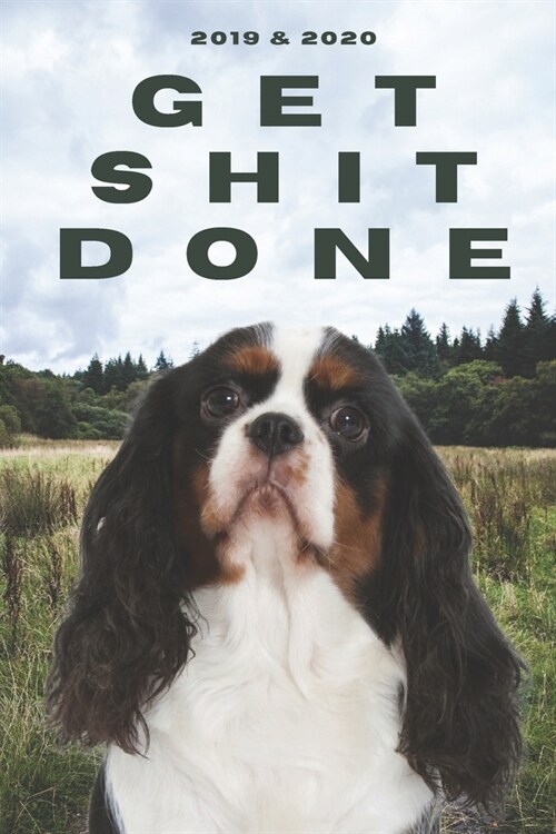 2020 & 2021 Two-Year Daily Planner To Get Shit Done - Funny Dog Appointment Book - Two Year Weekly Agenda Notebook - Best Gift For Cavalier King Charl (Paperback)