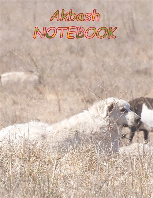 Akbash NOTEBOOK: Dog Notebooks and Journals 110 pages (8.5x11) (Paperback)