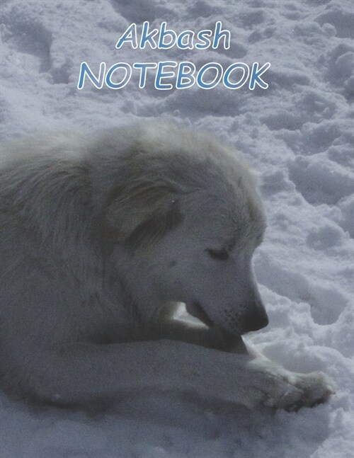 Akbash NOTEBOOK: Dog Notebooks and Journals 110 pages (8.5x11) (Paperback)