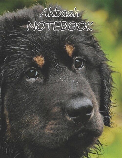 Akbash NOTEBOOK: Dog Notebooks and Journals 110 pages (8.5x11) (Paperback)