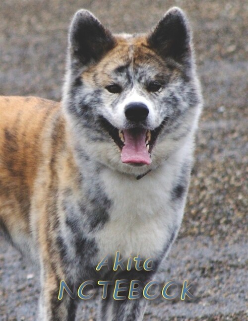 Akita NOTEBOOK: Dog Notebooks and Journals 110 pages (8.5x11) (Paperback)