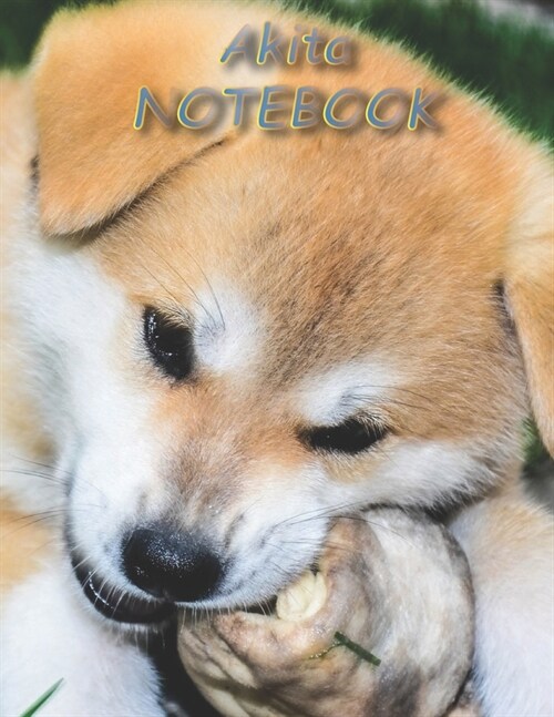 Akita NOTEBOOK: Dog Notebooks and Journals 110 pages (8.5x11) (Paperback)